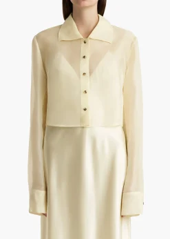Jasen Top in Pale Yellow Organza