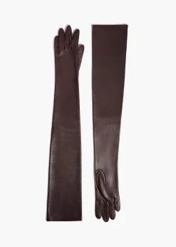 Remo Long Gloves in Brown Leather